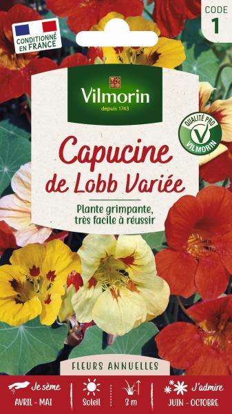 Fleurs - Capucine de Lobb Variée - PACKAGING_RECTO